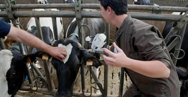 photo  les règles ne sont pas les mêmes pour toutes les maladies.  &copy;  thierry creux / ouest-france 