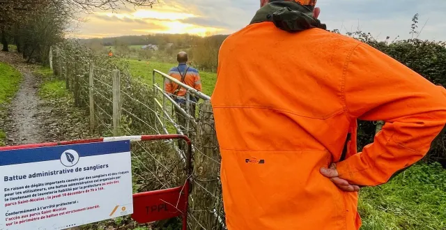 photo  150 chasseurs ont été mobilisés pour participer à la battue version xxl, organisée ce jeudi 18 décembre 2025 aux portes d’angers.  &copy;  ouest-france 