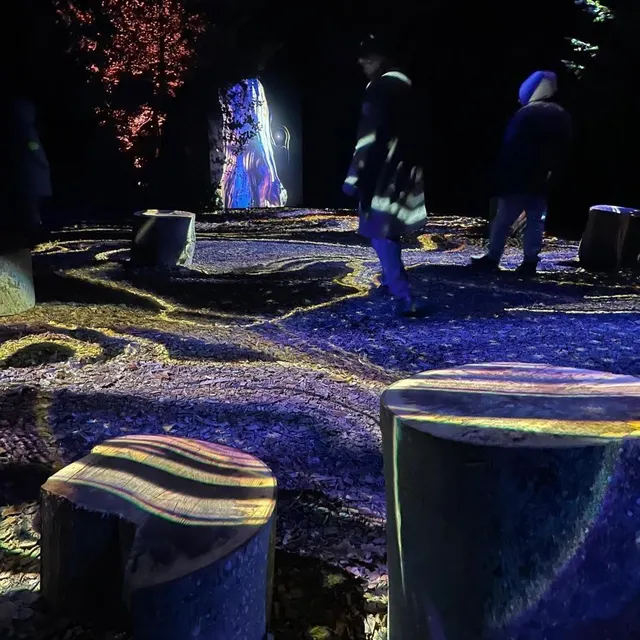 photo le parcours d’arbora lumina est à voir au domaine d’harcourt, dans l’eure, en cette fin d’année 2025.  ©  ouest-france