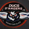 photo  les ducs d’angers s’inclinent à nice. 