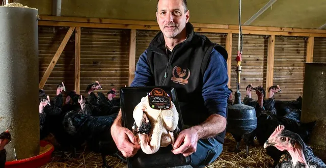 photo  sarcé, vendredi 12 décembre 2025. les chapons de guillaume loyer, finis au lait cru, seront présents sur de nombreuses tables de noël.  &copy;  le maine libre - yvon loué 