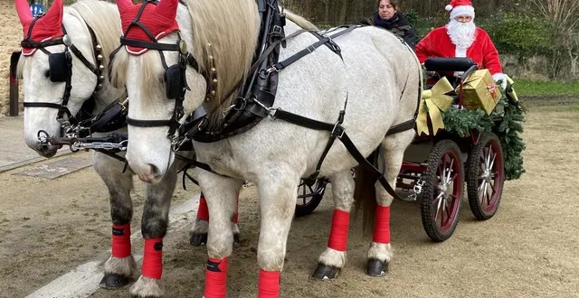 photo  le père noël arrivera à l’arche de la nature à bord d’une calèche tirée par des percherons, comme en 2024.  &copy;  arche de la nature 