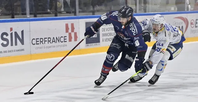 photo  orrin centazzo et les ducs n’auront plus le choix face à cergy, dimanche 21 décembre.  &copy;  sébastien aubinaud 