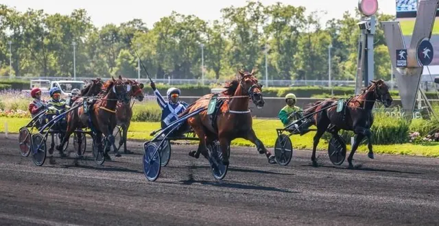 photo  horsy dream a réalisé une année 2024 splendide en remportant 4 groupes 1 (les meilleures courses).  &copy;  © bruno vandevelde - le trot 