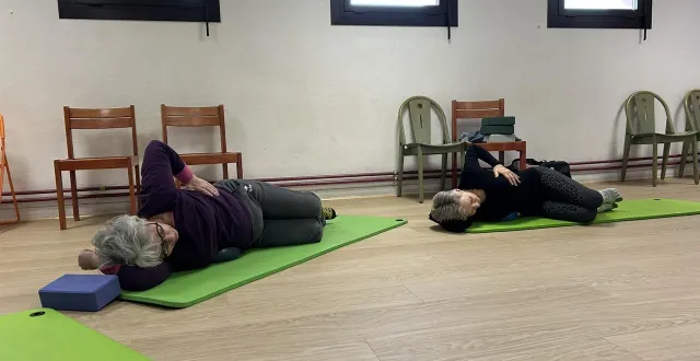 photo  anita roulleaux donne cours de yoga balles tous les mercredis matin à la mjc de flers (orne).  &copy;  ouest-france 