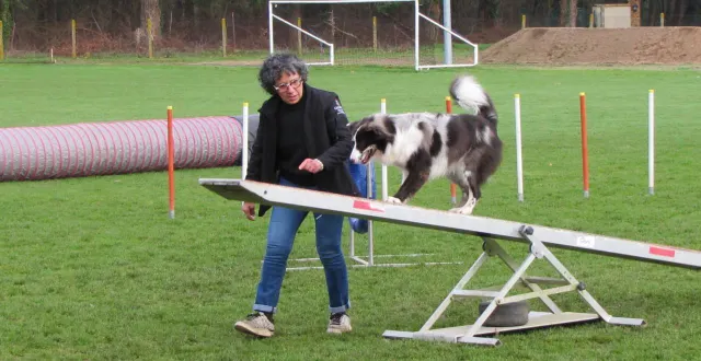photo  kerya et schweppsy lors de la démonstration agility sportive.  &copy;  ouest-france 