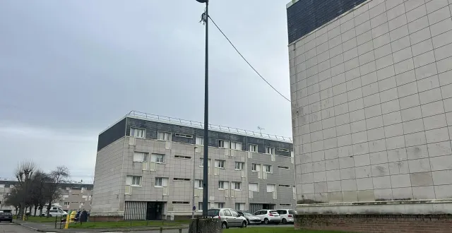 photo  julien travaillait à hauteur du 35, rue de carnac à coulaines lorsqu’un poteau lui est tombé dessus.  &copy;  le maine libre 
