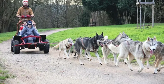 photo  jérôme garnier, musher professionnel, a baladé les enfants tout l’après-midi avec ses chiens et son traîneau à quatre roues dans le parc du château de sablé-sur-sarthe, le 24 décembre 2025.  &copy;  ouest-france 