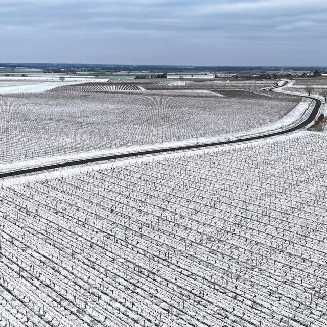 photo un magnifique décor au matin dans le saumurois.  ©  co