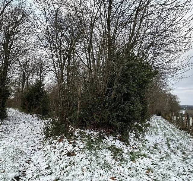 photo sur les hauteurs de grand-lucé.  ©  ouest-france