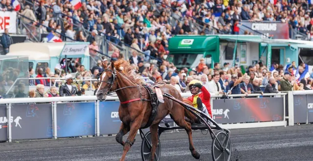 photo  josh power, vainqueur de la première qualificative, retrouvera son frère dans cette course. lequel aura de grandes ambitions pour se qualifier.  &copy;  archives © bruno vandevelde - le trot 