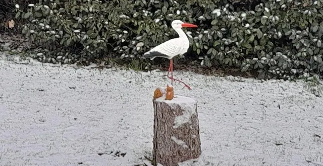 photo  hier à longué, la cigogne décorative claquait du bec sous la neige.  &copy;  co 