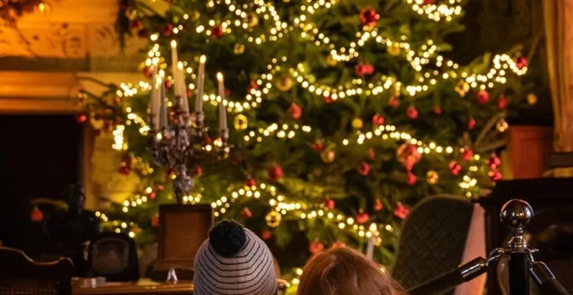 photo  un noël traditionnel dans le château de serrant, à saint-georges-sur-loire, entièrement décoré.  &copy;  guillaume chueca 