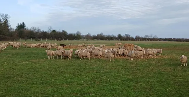 photo  « je comprends les inquiétudes, mais il ne faut pas que les gens se sentent piégés, ce projet d’agrivoltaïsme a été réfléchi », se défend damien courtemanche.  &copy;  photo fournie par damien courtemanche 