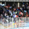 photo  les supporters des ducs d’angers vont découvrir un nouveau talent canadien. 