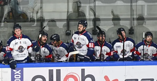 photo  le banc des ducs d’angers va se doter d’un nouveau joueur : olivier archambault.  &copy;  franck dubray / ouest france 