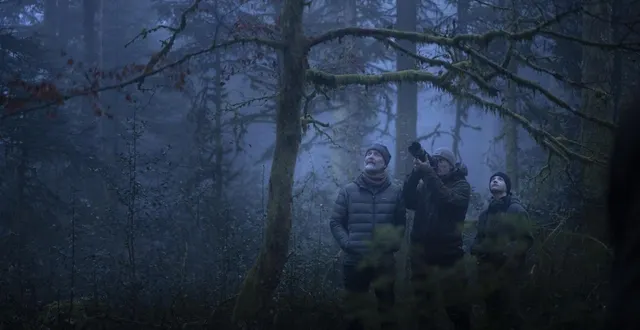 photo  « le chant des forêts », de vincent munier, le film à aller voir pendant les vacances de noël pour le cinéma la toile de mer de pornichet.  &copy;  le chant des forêts 