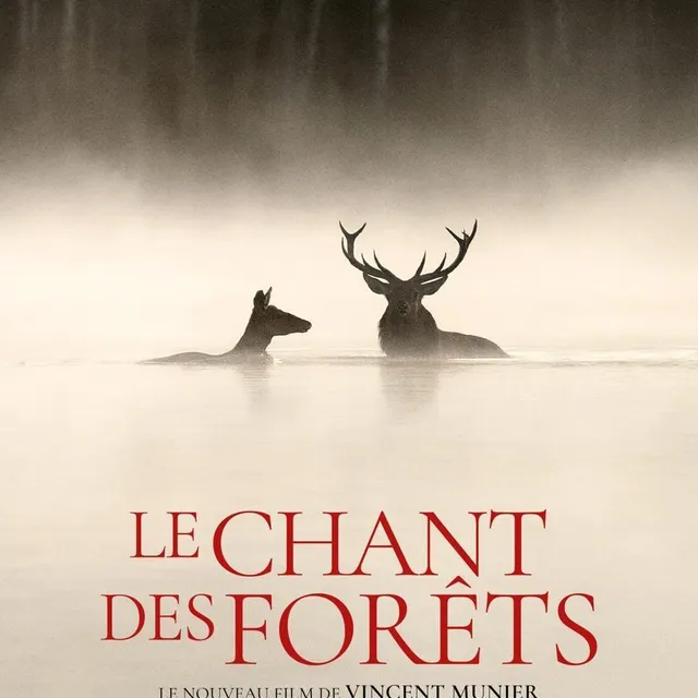 photo le chant des forêts de vincent munier, le film à aller voir pendant les vacances de noël pour le cinéma la toile de mer de pornichet.  ©  le chant des forêts