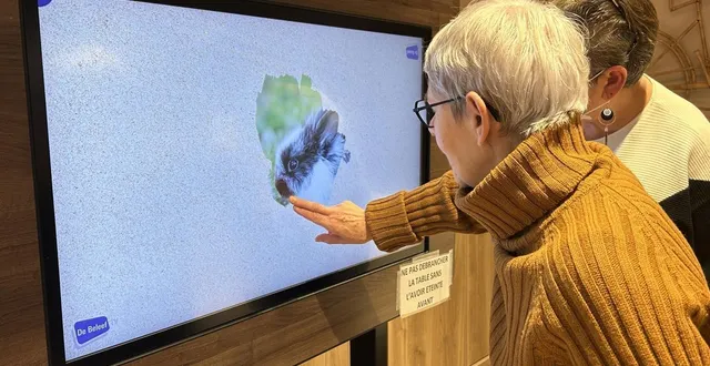 photo  nicole breteau fait travailler sa mémoire avec l’écran tactile installé dans l’ehpad eugène-aujaleu du grand lucé.  &copy;  ouest-france 