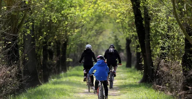 photo  découvrez quatre idées de balades que nous avons sélectionnées en sarthe.  &copy;  ouest-france 