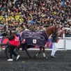 photo just love you avait empoché la deuxième place du prix d’amérique 2025. la jument d’alexandre abrivard n’a toujours pas son billet pour le prix d’amérique 2026.