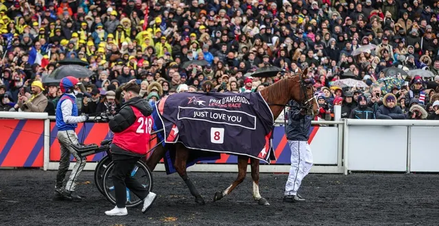 photo  just love you avait empoché la deuxième place du prix d’amérique 2025. la jument d’alexandre abrivard n’a toujours pas son billet pour le prix d’amérique 2026.  &copy;  bruno vandevelde - le trot 
