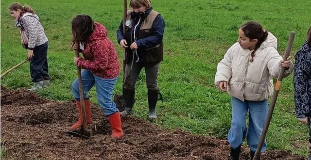 photo  le terrain a été préparé par les agents municipaux.  &copy;  co 