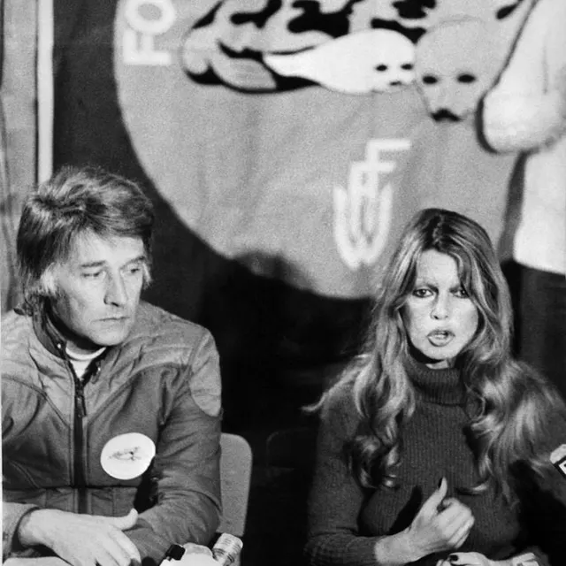 photo brigitte bardot et le journaliste suisse franc weber lors d’une conférence de presse à terre-neuve, le 21 mars 1977, pour dénoncer la chasse des phoques.  ©  archives afp