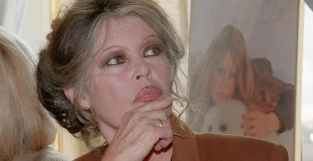 photo  l’actrice brigitte bardot pose lors d’une conférence de presse le 21 mars 1995 à paris.  &copy;  pierre boussel / afp 