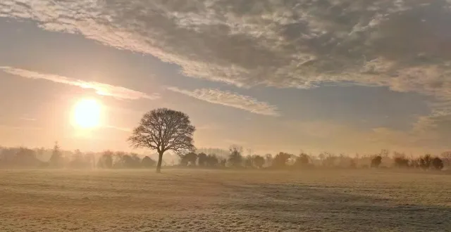 photo  en fin d’année, par deux fois, des températures très douces pour la saison ont brutalement chuté pour des valeurs proches d’être négatives.  &copy;  archives ouest-france 