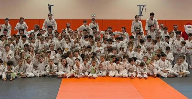 photo  plus de 140 jeunes judokas ont fait un entraînement spécial pour le dernier cours de l’année.  &copy;  le maine libre 