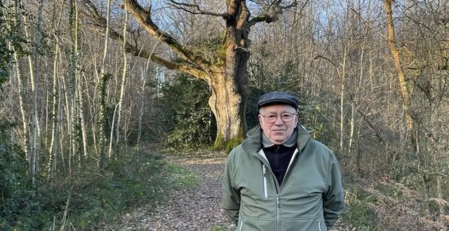 photo  le chêne au diable servait à pendre les condamnés par adam de crez, le seigneur de la région (sarthe).  &copy;  ouest france 