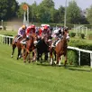 photo six réunions sont au programme de la saison hippique de l’hippodrome de sablé-sur-sarthe en 2026.
