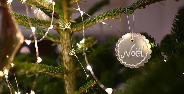 photo  le sapin de noël peut être rapporté dans plusieurs points de collecte à alençon (orne).  &copy;  franck dubray / archives ouest france 