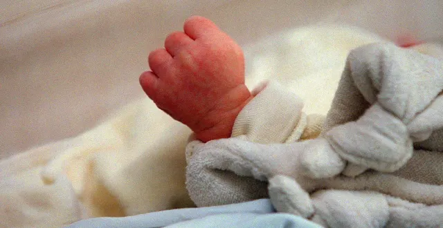 photo  plusieurs ateliers à destination des tout-petits sont organisés en janvier (photo d’illustration).  &copy;  archives co 