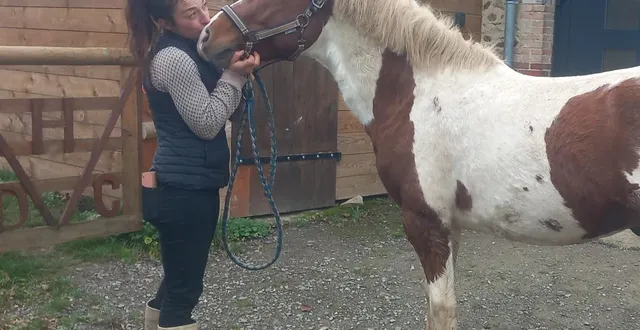 photo  nichée au pied de la forêt d’écouves, marlène conta a réussi à concilier son bien-être avec celui des chevaux.  &copy;  crédit ouest france 