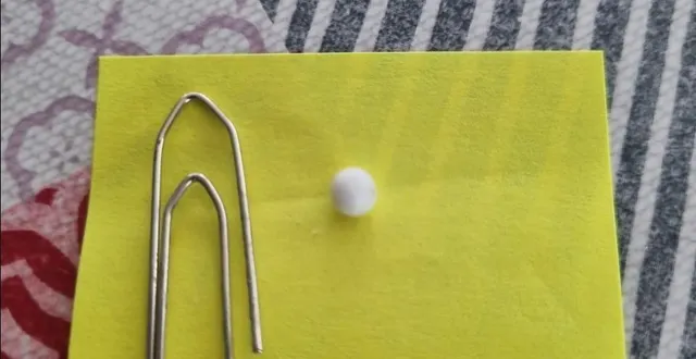 photo  pascal a trouvé une petite perle dans une huître sauvage qu’il a ramassée à pénestin.  &copy;  pascal sangand 