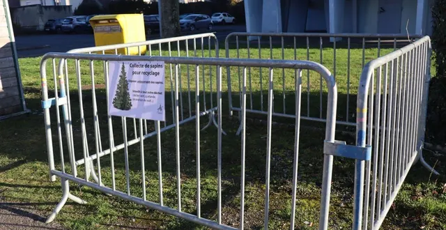 photo  collecte sapin argentan  &copy;  ouest-france 