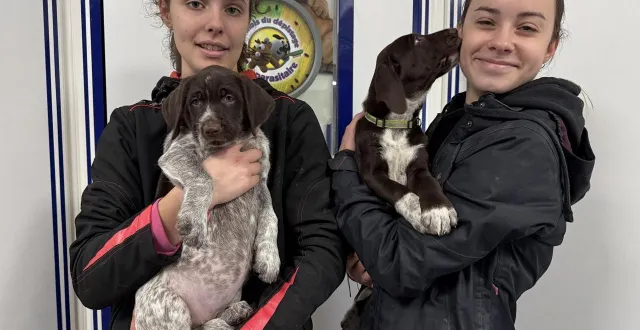 photo  en octobre 2025, dans l’orne, dix chiots à peine nés avaient été retrouvés vivants au fond d’une benne à ordures. sauvés de justesse, ils ont été recueillis, soignés puis proposés à l’adoption. ici angèle et alyssia ont participé au biberonnage des chiots.  &copy;  ouest-france 