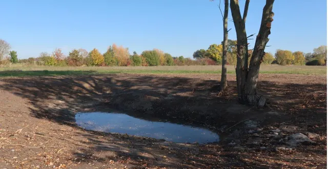 photo  restauration de mares en ccals.  &copy;  co – agathe le nueff 