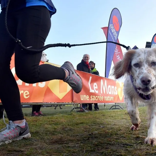 photo le canicross fait partie des épreuves les plus populaires du cross ouest-france. le départ donné le dimanche 18 janvier 2026, à 9 h 45.  ©  archives ouest-france