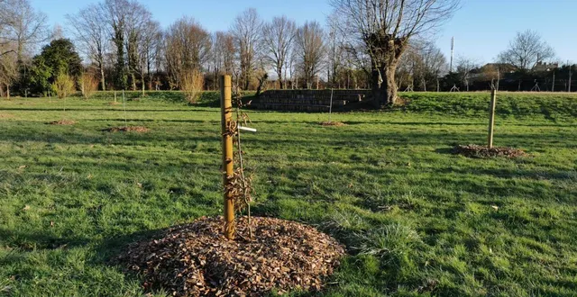 photo  l’espace tertifume poursuit sa mue.  &copy;  le maine libre 