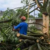 photo  fin juin à la ferrière-de-flée, une tornade fait de nombreux dégâts. 