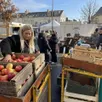 photo  maraîchers, poissonniers, charcutiers et tous les commerçants du marché doivent braver le froid tôt le matin pour servir les clients.? 