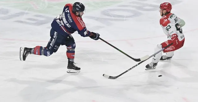 photo  jonathan charbonneau et les ducs seront à l’iceparc ce dimanche 4 janvier.  &copy;  sebastien aubinaud 