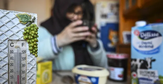 photo  aurore* vit depuis plusieurs jours dans un appartement où la température avoisine les 10 °c.  &copy;  le maine libre - denis lambert 