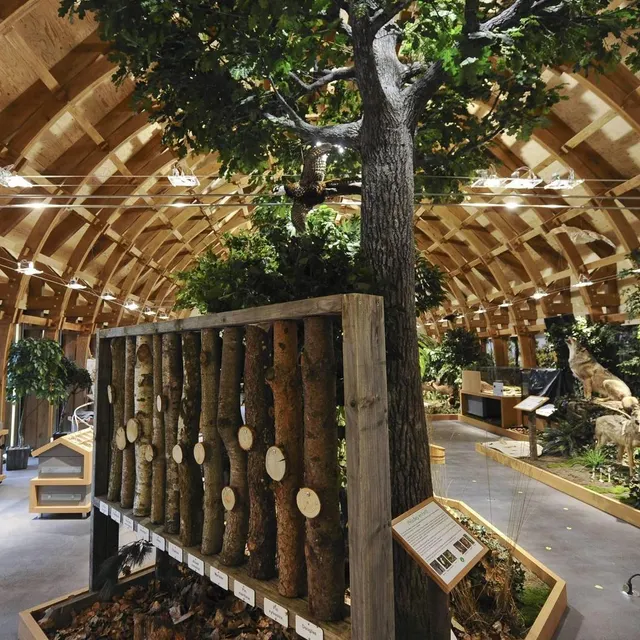 photo la maison de la forêt a été inaugurée en juin 2013, coût pour le mans métropole : 1,79 million d’euros.  ©  archives le maine libre - denis lambert