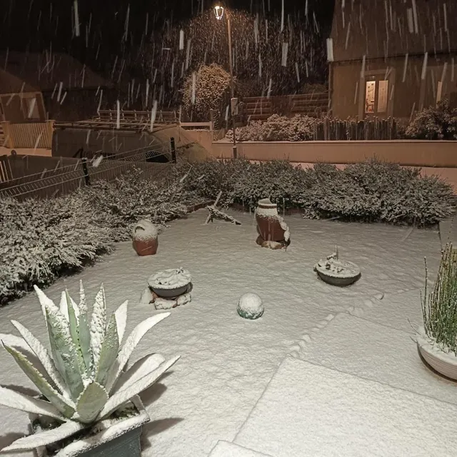 photo un joli manteau blanc recouvre ce jardin du plessis-macé après les premières chutes de neige tombées ce lundi 5 janvier.  ©  document remis
