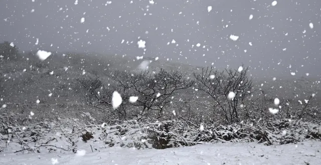 photo  de la neige est attendue en maine-et-loire. photo d’illustration.  &copy;  guillaume saligot / ouest-france 