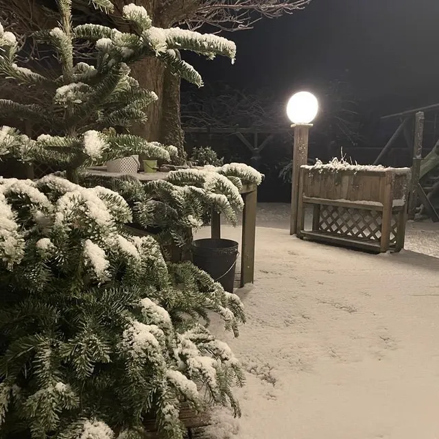photo un jardin au lion-d'angers ce mardi matin.  ©  ouest-france